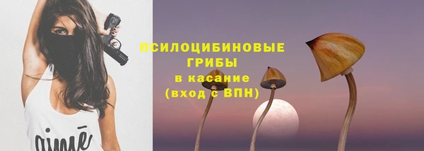 ECSTASY Абаза