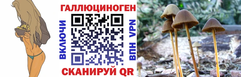 Псилоцибиновые грибы мицелий  площадка официальный сайт  Фокино 